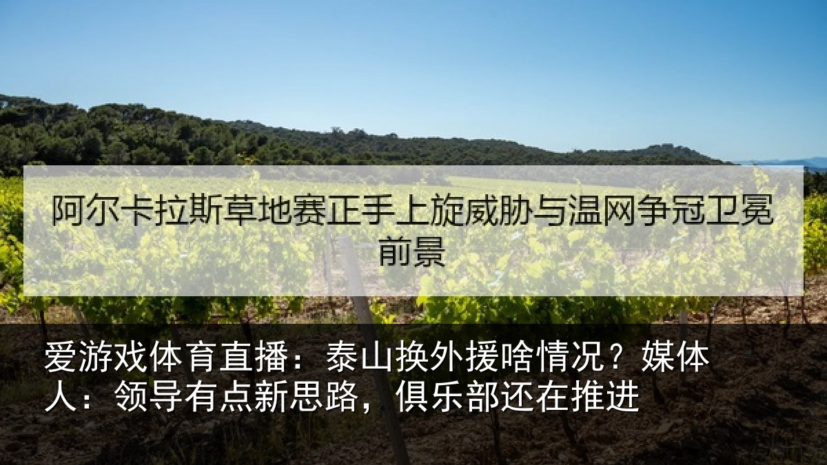 爱游戏体育直播：泰山换外援啥情况？媒体人：领导有点新思路，俱乐部还在推进