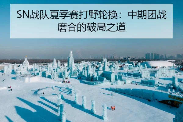 SN战队夏季赛打野轮换：中期团战磨合的破局之道